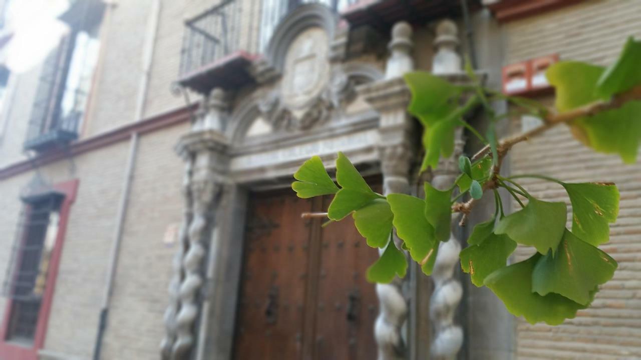 Patio San Jeronimo Casa De Arte Apartment Гранада Екстериор снимка